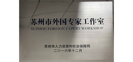 Municipal Foreign Experts Workshops